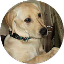 Profile photo of j haze