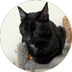 Profile photo of Kathleen DePetrillo