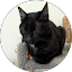 Profile photo of Kathleen DePetrillo