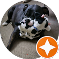 Profile photo of Mendy Mahan