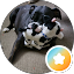 Profile photo of Mendy Mahan