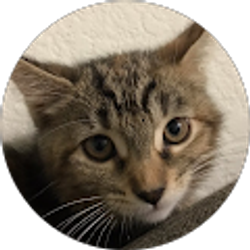 Profile photo of Jason Rodriguez