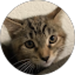 Profile photo of Jason Rodriguez