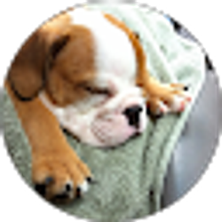 Profile photo of Xiomara Roman