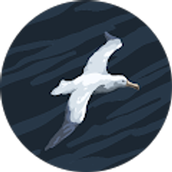 Profile photo of Islande Nelcy