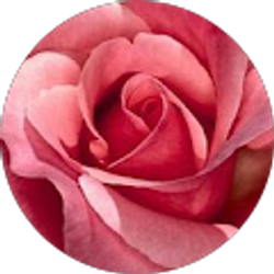 Profile photo of Anissa Young-Ned