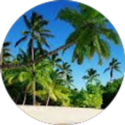 Profile photo of Tyrone Palacios