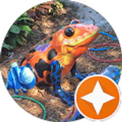 Profile photo of John D