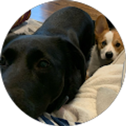 Profile photo of Bradlee RW