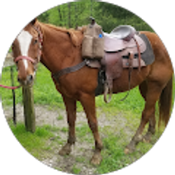 Profile photo of Sandy Bannister