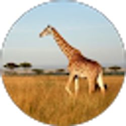 Profile photo of Graham Ferguson