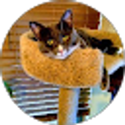 Profile photo of Alena Scott