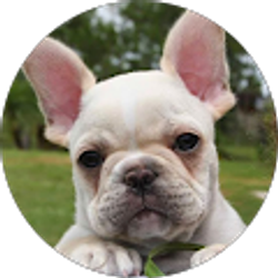 Profile photo of Jacki Powers