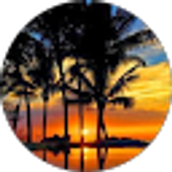 Profile photo of Kris Peterson