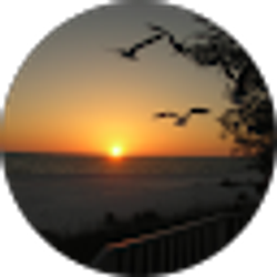 Profile photo of Jim J