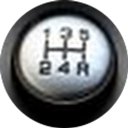 Profile photo of Raymond Luketich