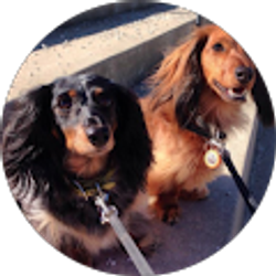 Profile photo of Ali Conley