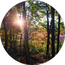 Profile photo of Alex Letteri