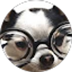 Profile photo of susan travis
