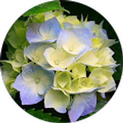 Profile photo of Brandie Jordan