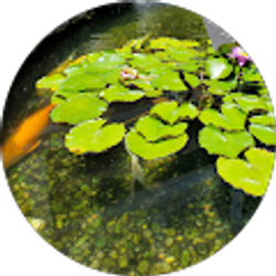 Profile photo of Desiray Boehmer