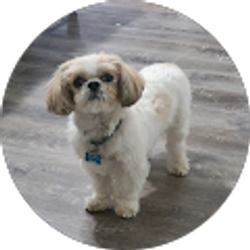 Profile photo of Michael Harrison