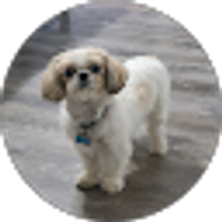 Profile photo of Michael Harrison