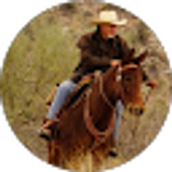 Profile photo of Bill & Wilbur