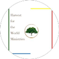 Profile photo of Leslie Haymon