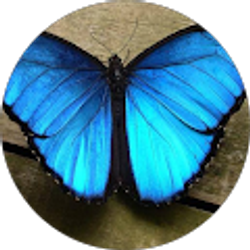 Profile photo of Adriana Reyez