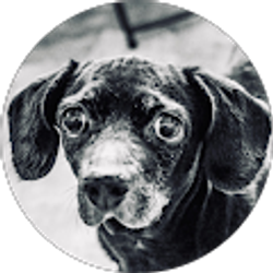 Profile photo of Ariel Navia