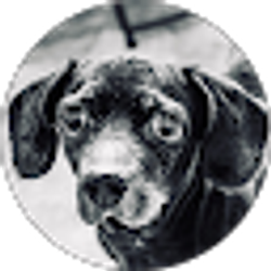 Profile photo of Ariel Rodriguez