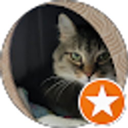 Profile photo of Debra Cook