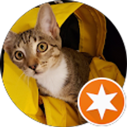 Profile photo of Clint Brandt