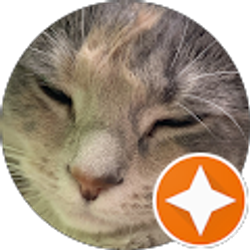 Profile photo of Jennifer Brown