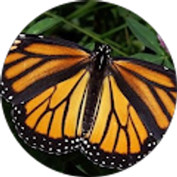 Profile photo of Kali Martin