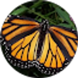 Profile photo of Kali Martin