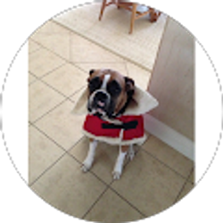 Profile photo of Barbara Layman