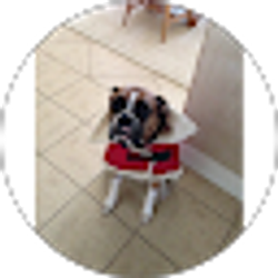 Profile photo of Barbara Layman