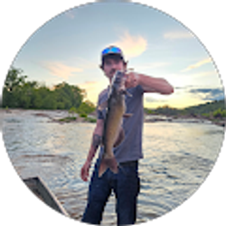 Profile photo of Roy Taylor