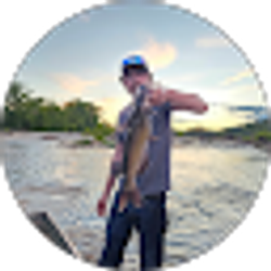 Profile photo of Roy Taylor