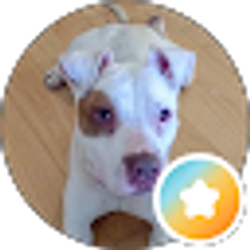 Profile photo of Melissa Gary