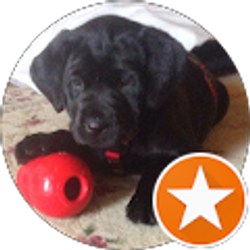 Profile photo of Marilyn Williamson