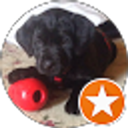 Profile photo of Marilyn Williamson