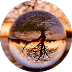 Profile photo of Johnnie White