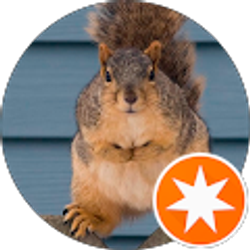 Profile photo of M Doyle-Appleby