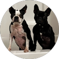 Profile photo of Dustin Deal