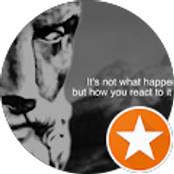 Profile photo of J Sal