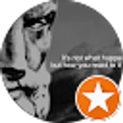 Profile photo of J Sal