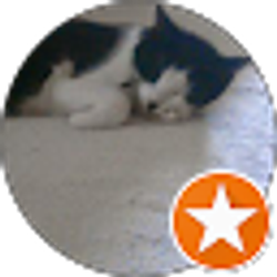 Profile photo of Patricia Orduno